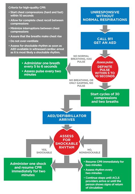 bls and acls online