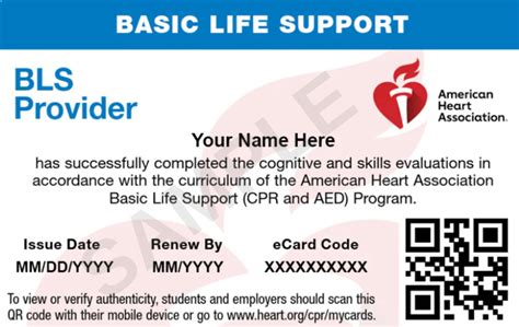 bls certification oahu