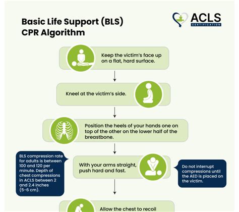 Bls Guidelines For Cpr