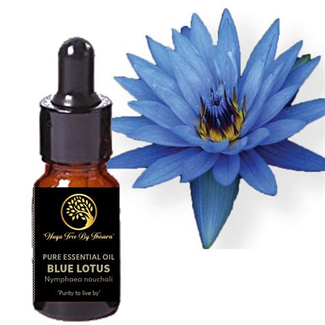 Blue Lotus Full Spectrum CBD Oil Natural 750mg
