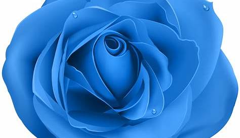 Download HD Roses Png Images Svg Royalty Free Stock - Blue Rose Png