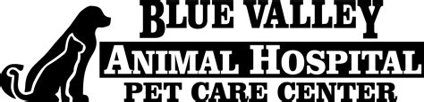 Veterinary Services Blue Valley Animal Hospital in
