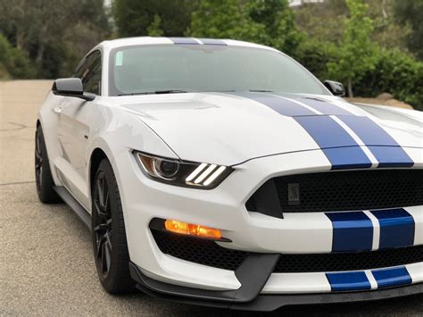 blue and white mustang