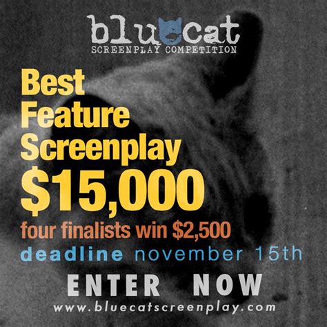 blue cat screenwriting contest
