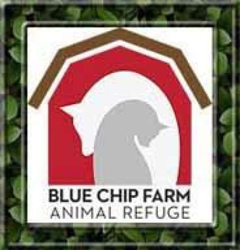 blue chip animal refuge dallas pa