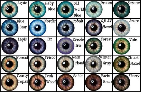 Blue Eye Color Code