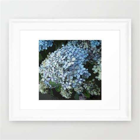 blue hydrangea framed prints