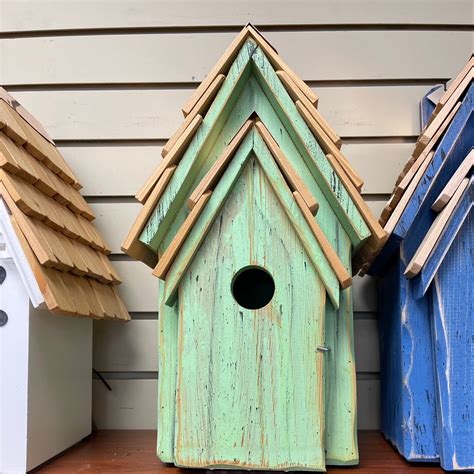 blue jay bird house