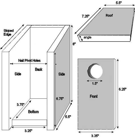 blue jay bird house plans free download