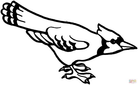 blue jay clipart black and white
