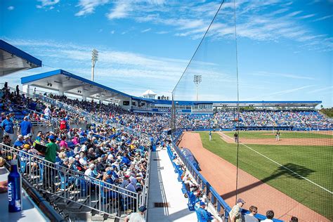 blue jay spring training