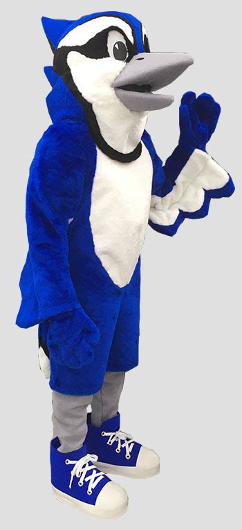 blue jays mascot for college