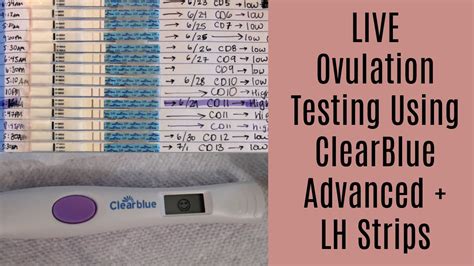 Blue Lines On Clearblue Ovulation Test