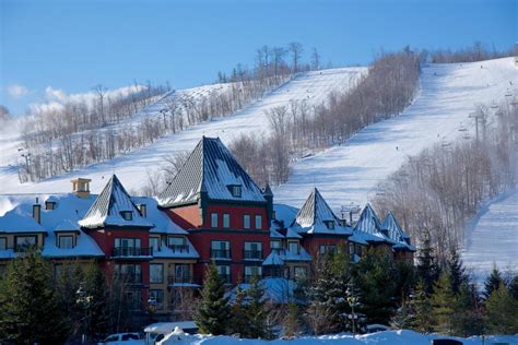 blue mountain booking hotel