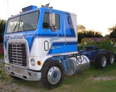 blue mule trucking