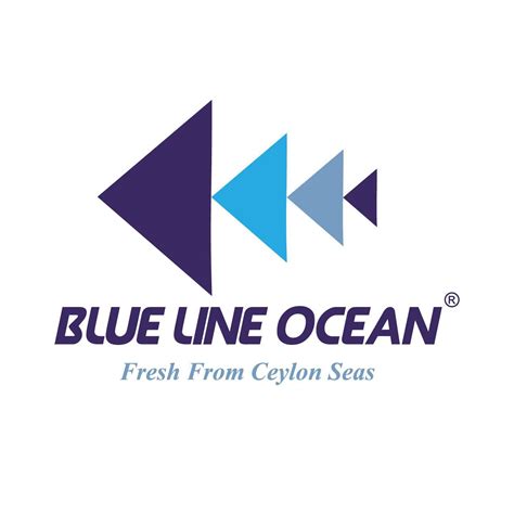 blue ocean pty ltd