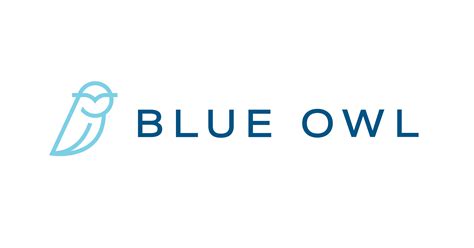 blue owl real estate capital llc