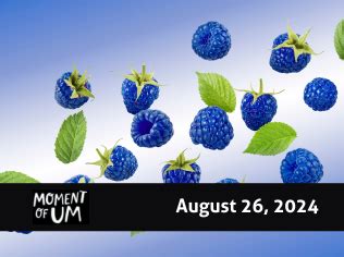 Blue Raspberry Where Does It Come From