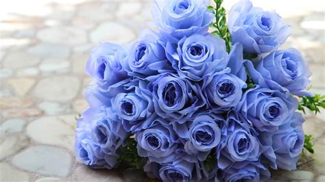 Rare Blue Roses: Unveiling Nature's Hidden Jewel