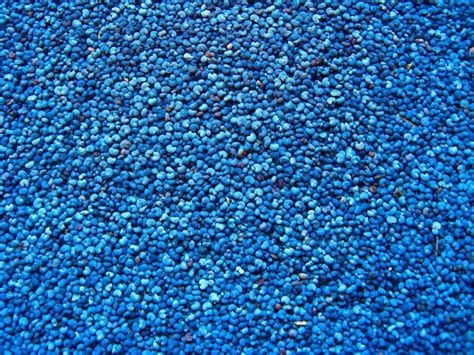 blue seeds