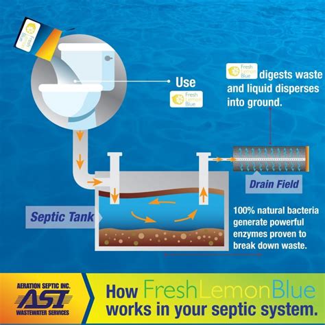 weedtime.us:blue septic tank