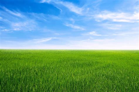 Blue Sky Background Green Grass