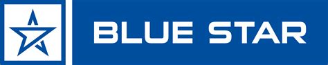 blue star company share price