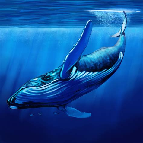 blue whale in danger
