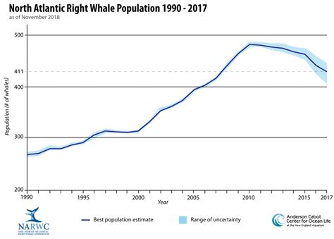 blue whale population graph 2023
