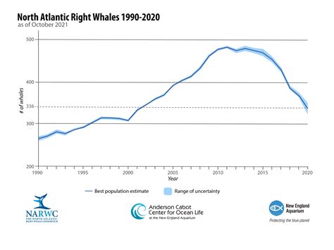 blue whale population statistics