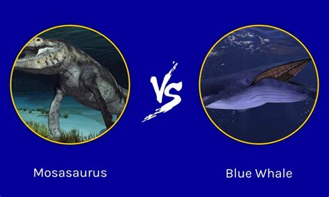 blue whale vs mosasaurus