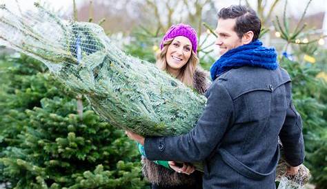 Bluebell Wood Christmas Tree Recycling Beatson Clark Sponsor