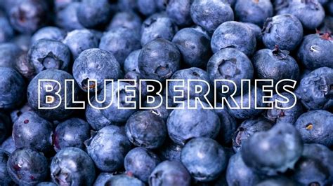 Blueberries Liver Function