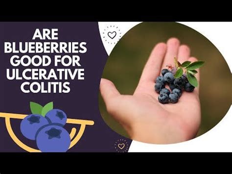 Blueberries Ulcerative Colitis