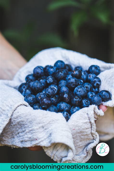 Blueberries When Sick