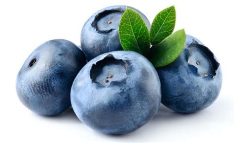 Blueberry