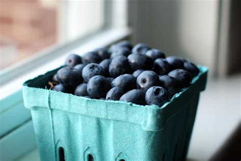 blueberry container