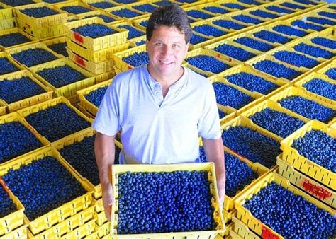 blueberry farm in hammonton nj