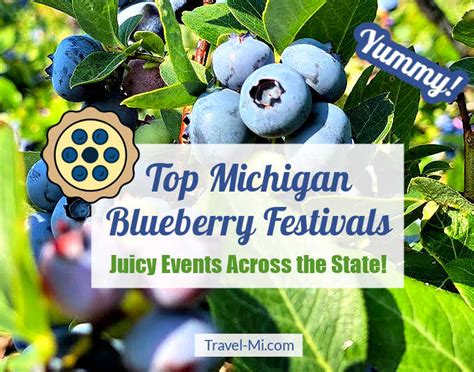 blueberry festival 2023 michigan