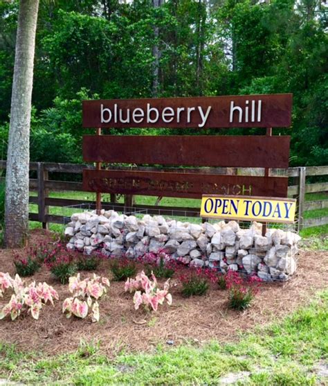 blueberry hill farms nb