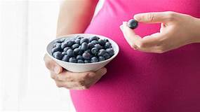 blueberry untuh ibu hamil