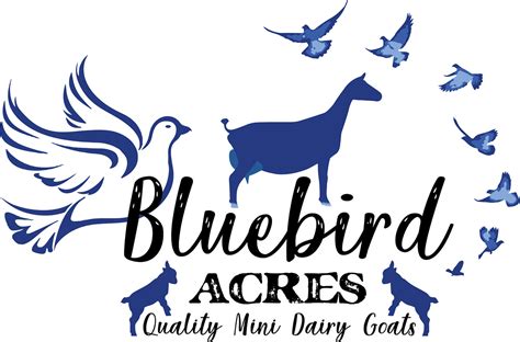 Bluebird Acres
