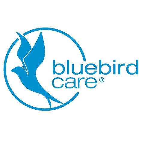 bluebird care contact number