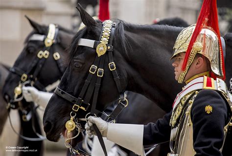 blues and royals horse guards