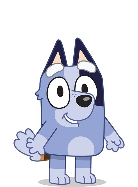 bluey socks character