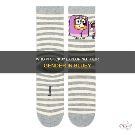 Bluey Socks Gender