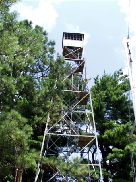bluff mountain fire tower