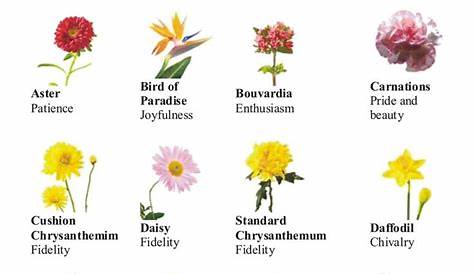 types of flowers | language of flower: different types of flowers
