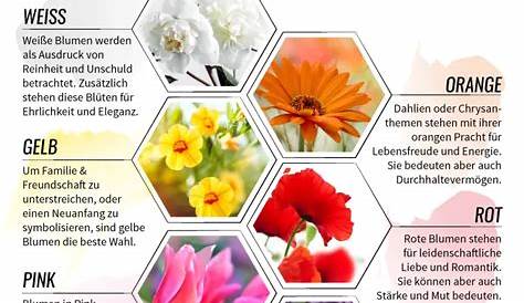 Die Sprache der Blumen #blumen #sprache | Language of flowers, Flower