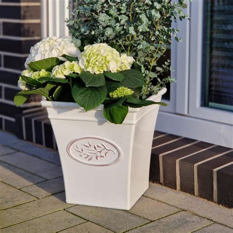 Pflanzgefäße Blumen Risse